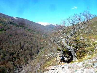 Alto Campoo;Parque Natural Saja-Besaya;pirineos orientales clubs en madrid valderejo parque natural